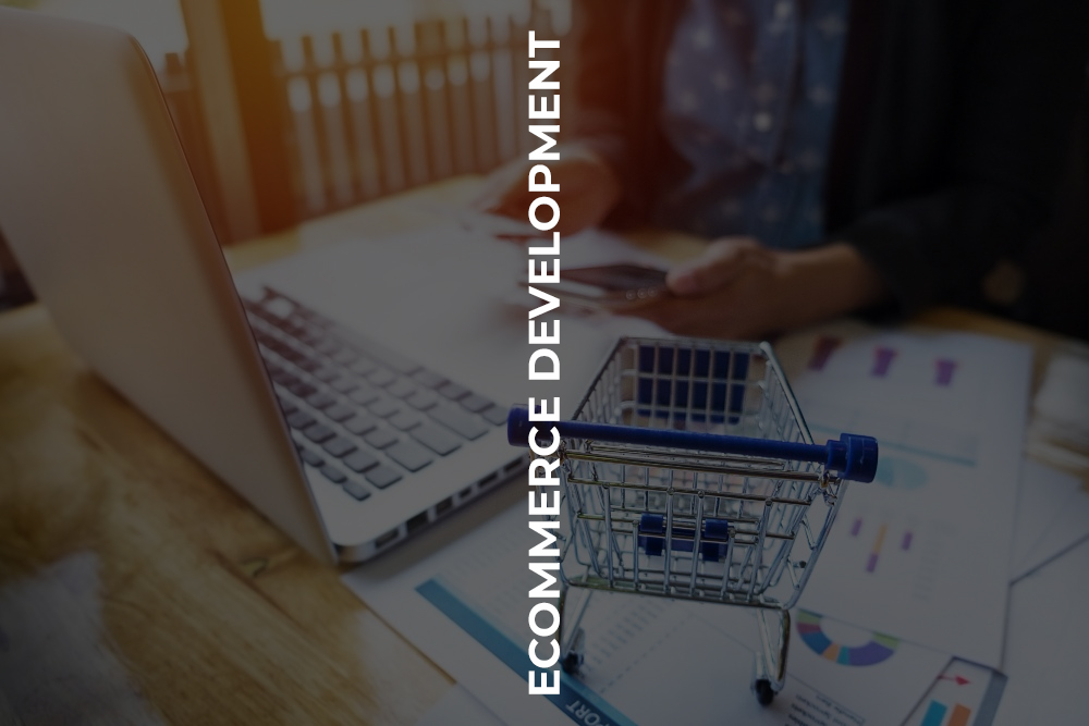 Ecommerce-Development